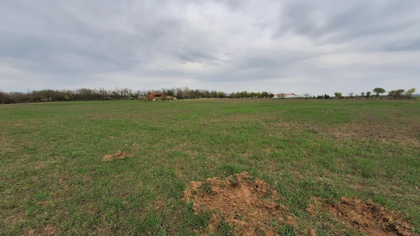 Eladó Telek Gödöllő 7532 m2 