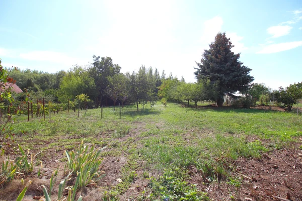Eladó Ház Fertőd 90 m2 