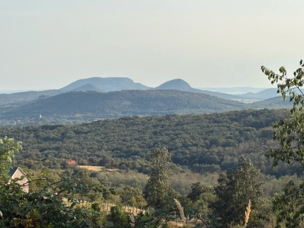 Eladó Telek Monostorapáti 1042 m2 