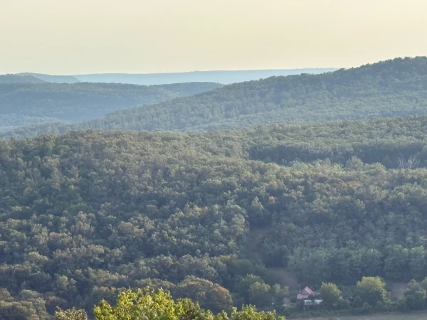 Eladó Telek Monostorapáti 1042 m2 