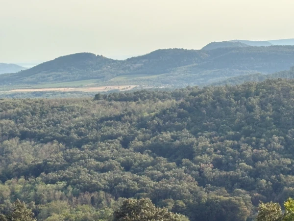 Eladó Telek Monostorapáti 1042 m2 
