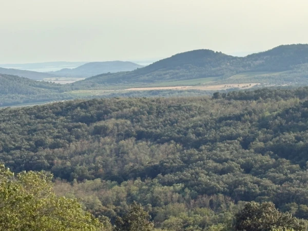 Eladó Telek Monostorapáti 1042 m2 