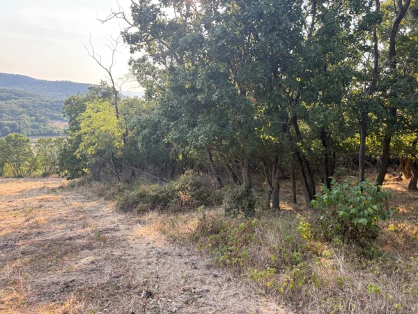 Eladó Telek Monostorapáti 1042 m2 