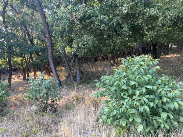 Eladó Telek Monostorapáti 1042 m2 