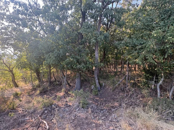 Eladó Telek Monostorapáti 1042 m2 