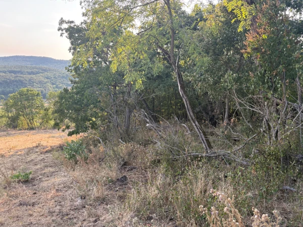 Eladó Telek Monostorapáti 1042 m2 