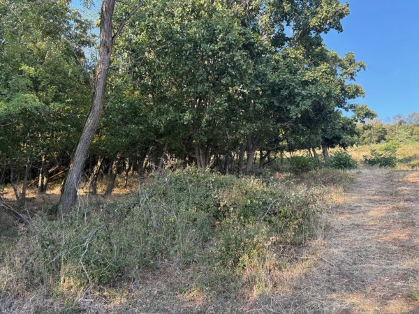 Eladó Telek Monostorapáti 1042 m2 