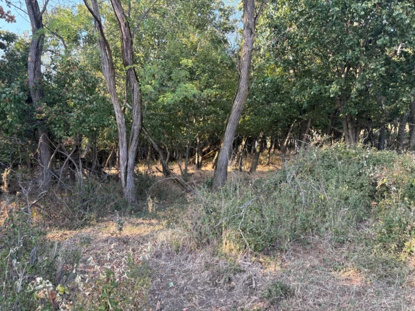 Eladó Telek Monostorapáti 1042 m2 