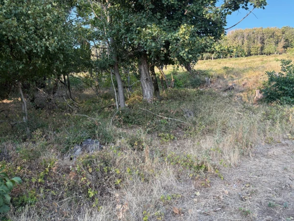 Eladó Telek Monostorapáti 1042 m2 