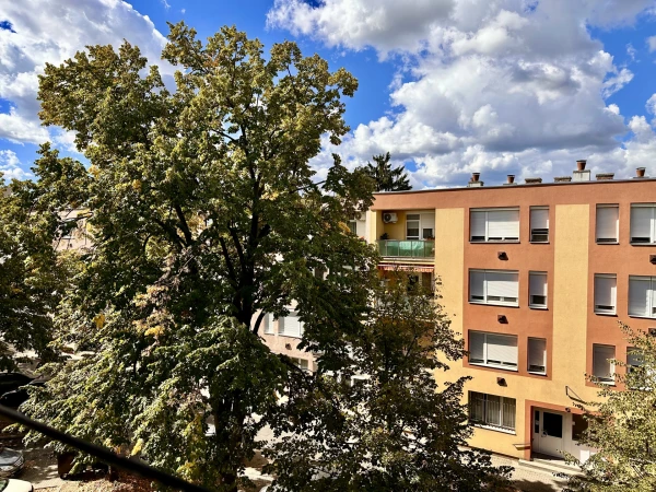 Eladó Lakás Zalaegerszeg 51 m2 