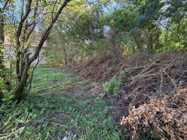 Eladó Ház Zalaerdőd 126 m2 