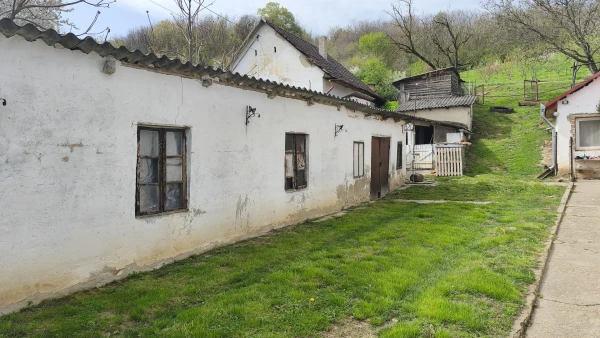Eladó Ház Tamási 120 m2 