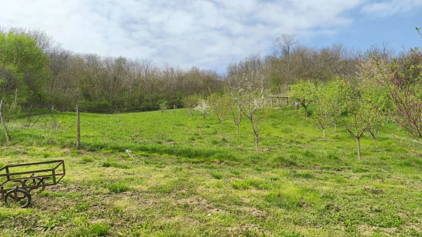 Eladó Ház Tamási 120 m2 