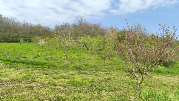 Eladó Ház Tamási 120 m2 