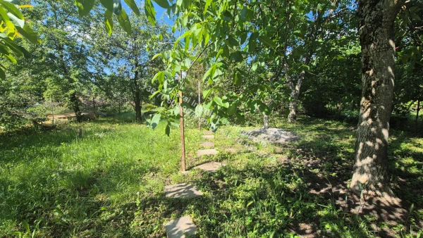 Eladó Telek Békéscsaba 754 m2 