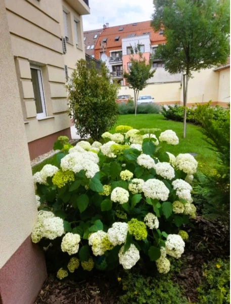 Eladó Lakás Kecskemét 80 m2 