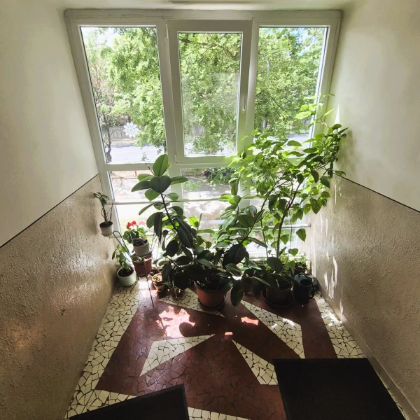 Eladó Lakás Kecskemét 41 m2 