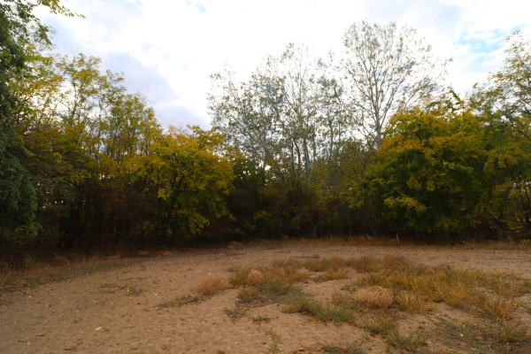 Eladó Ház Kecskemét 40 m2 