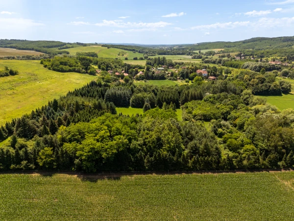 Eladó Ház Misefa 1650 m2 