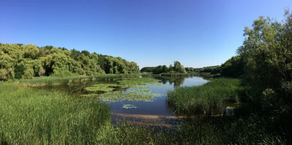 Eladó Ház Balatonmagyaród 140 m2 