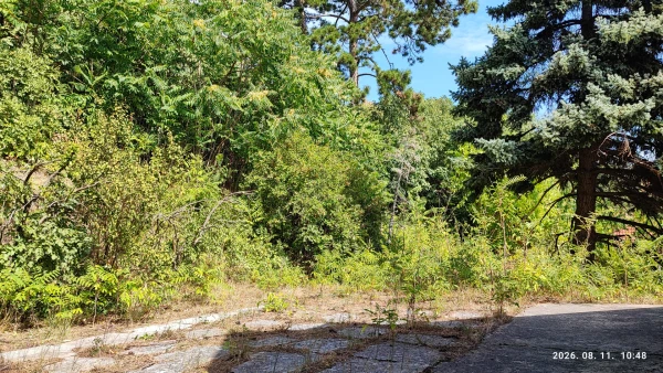 Eladó Nyaraló Balatongyörök 105 m2 