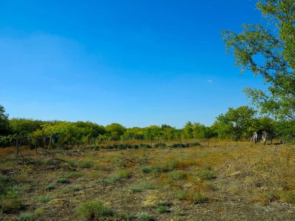 Eladó Telek Kecskemét 1550 m2 