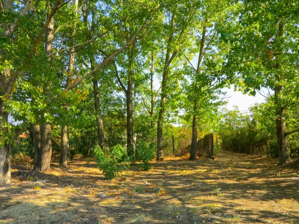 Eladó Telek Kecskemét 1550 m2 