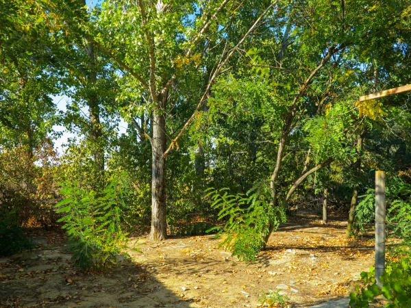 Eladó Telek Kecskemét 1550 m2 