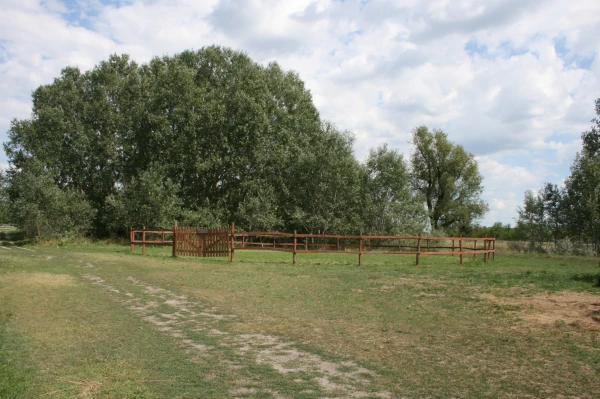 Eladó Ház Mikebuda 157 m2 