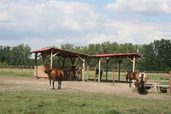 Eladó Ház Mikebuda 157 m2 