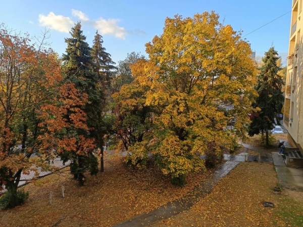 Eladó Lakás Miskolc 54 m2 