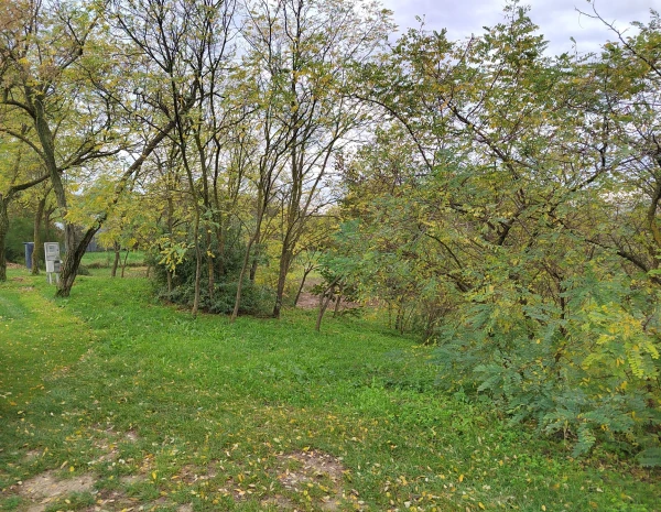 Eladó Telek Győr 1786 m2 