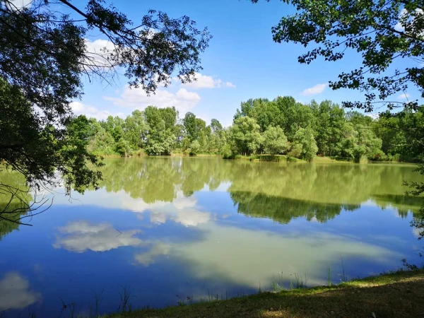 Eladó Telek Takácsi 15000 m2 