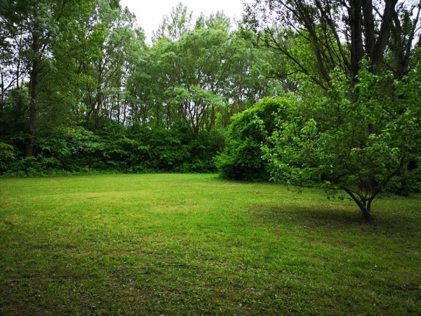 Eladó Telek Takácsi 15000 m2 