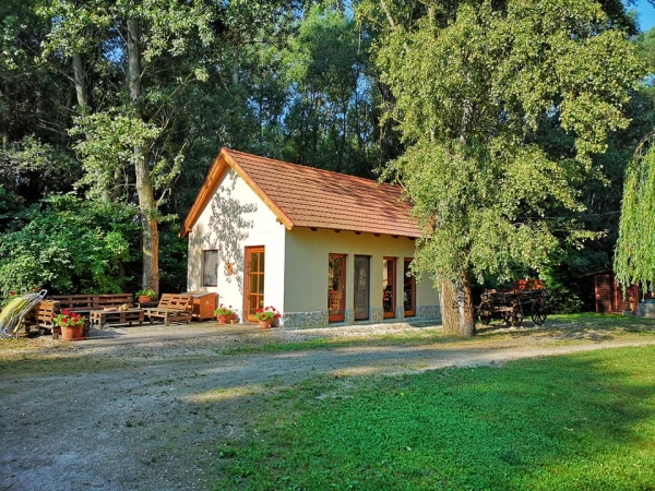 Eladó Telek Takácsi 15000 m2 