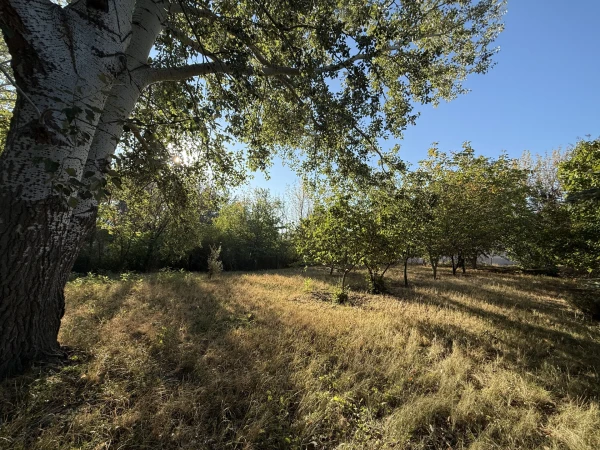 Eladó Ház Solt 144 m2 