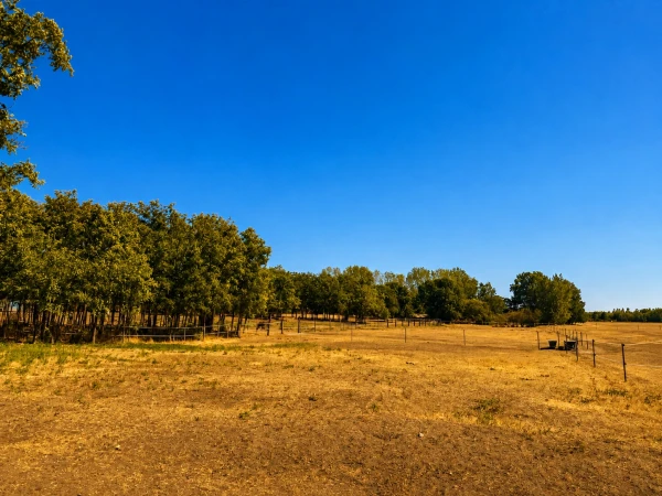 Eladó Telek Hernád 55183 m2 