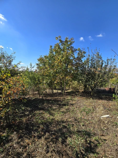 Eladó Nyaraló Zalaegerszeg 30 m2 