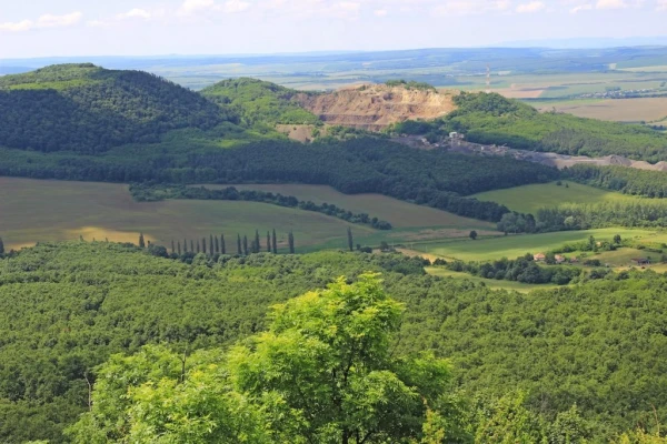 Eladó Telek Bér 1333 m2 