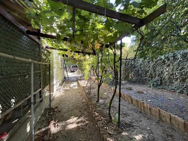 Eladó Telek Szentmártonkáta 1980 m2 