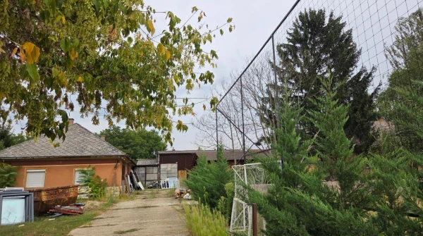 Eladó Telek Nyíregyháza 2620 m2 