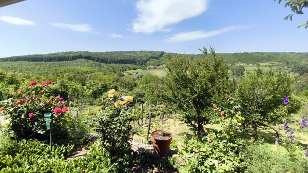 Eladó Nyaraló Tamási 50 m2 
