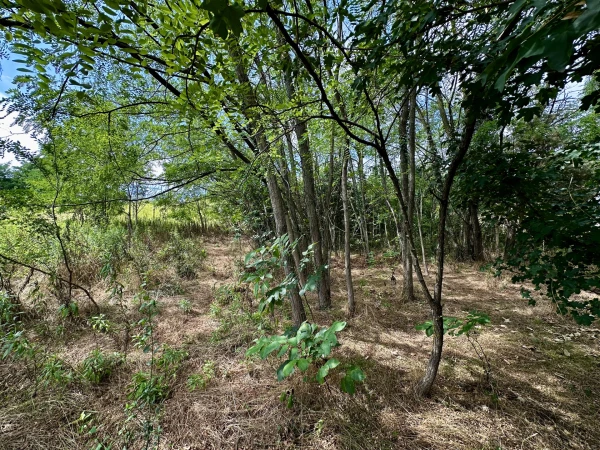 Eladó Telek Zalaegerszeg 2295 m2 