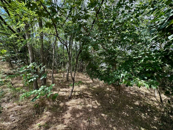 Eladó Telek Zalaegerszeg 2295 m2 