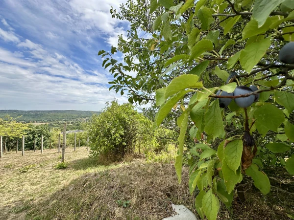 Eladó Telek Zalaegerszeg 2295 m2 