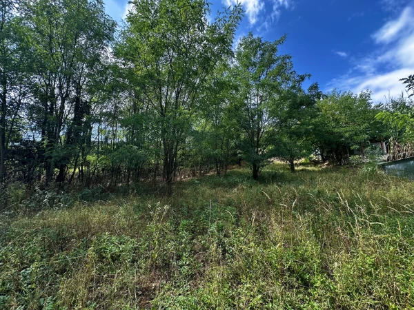 Eladó Telek Zalaegerszeg 2295 m2 