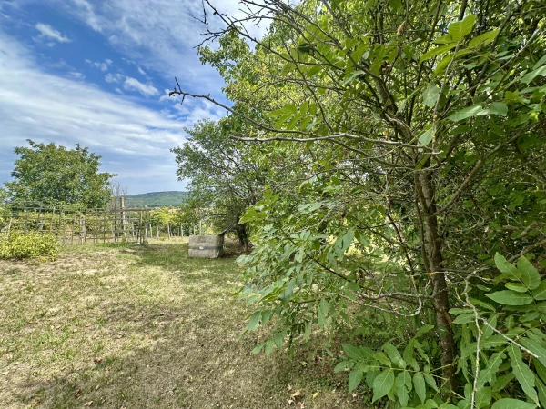 Eladó Telek Zalaegerszeg 2295 m2 