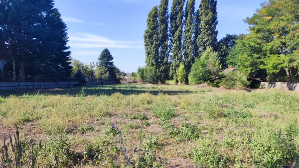 Eladó Telek Kecskemét 4986 m2 