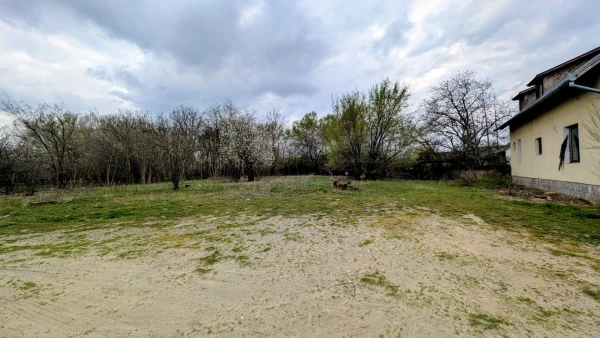 Eladó Ház Kecskemét 259 m2 