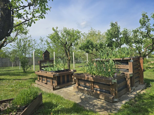 Eladó Ház Vasasszonyfa 126 m2 